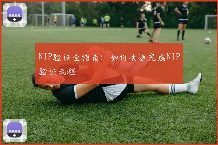 NIP验证全指南:如何快速完成NIP验证流程