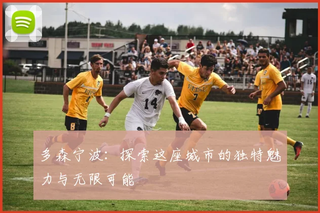多森宁波：探索这座城市的独特魅力与无限可能