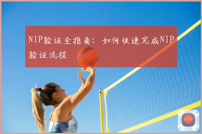 NIP验证全指南:如何快速完成NIP验证流程
