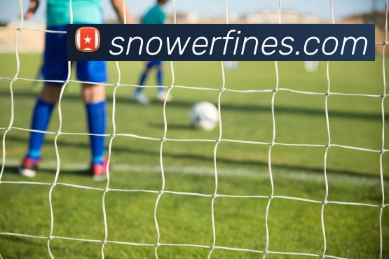 登录器 登录器